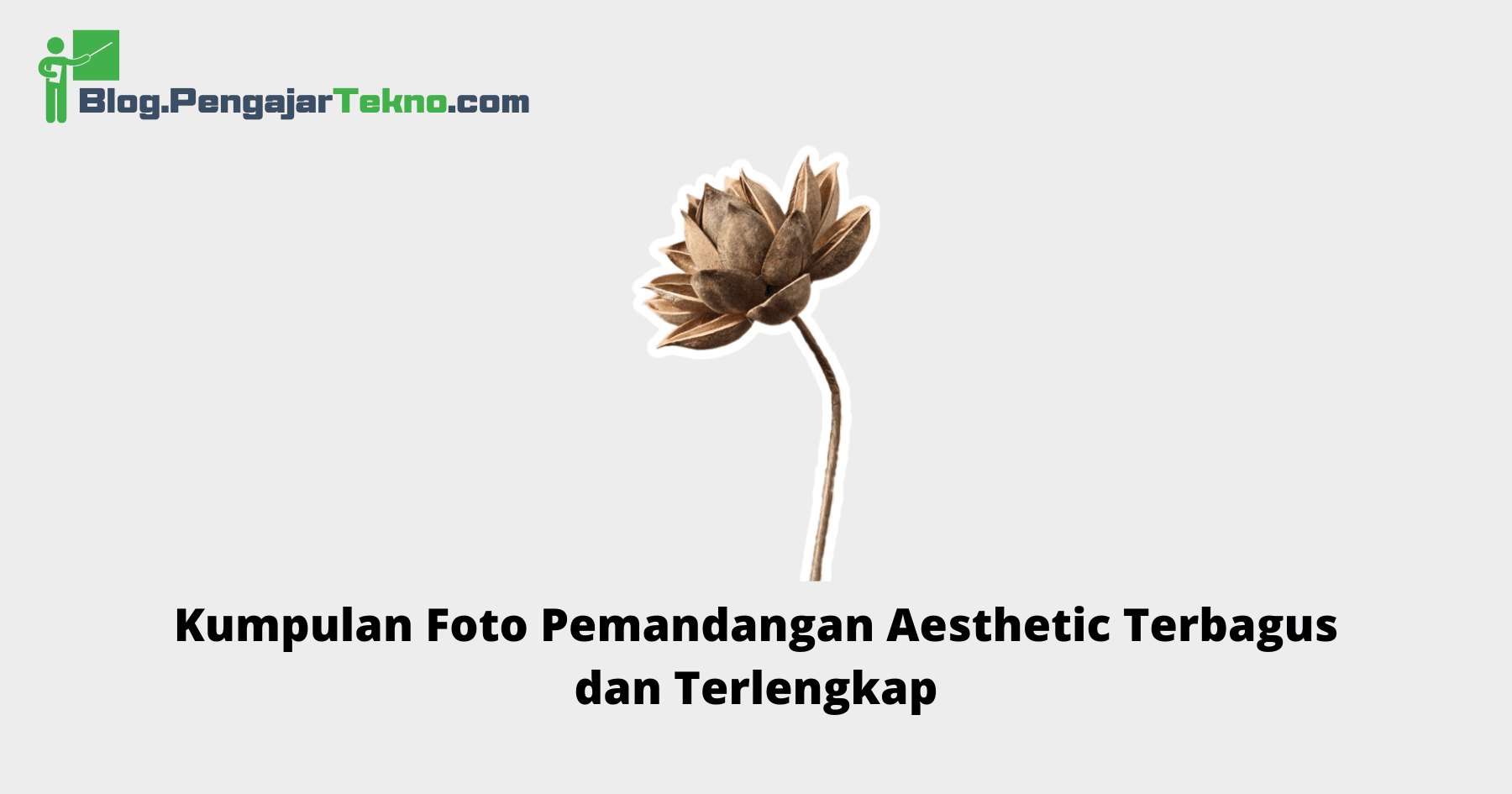 Foto Pemandangan Aesthetic