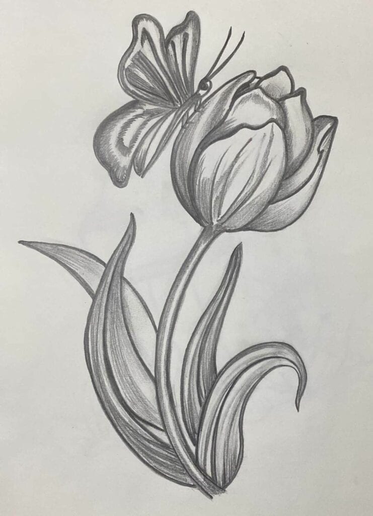 Kumpulan Gambar Bunga Tulip Sketsa Terbagus dan Terlengkap 25 Gambar Bunga Tulip Sketsa