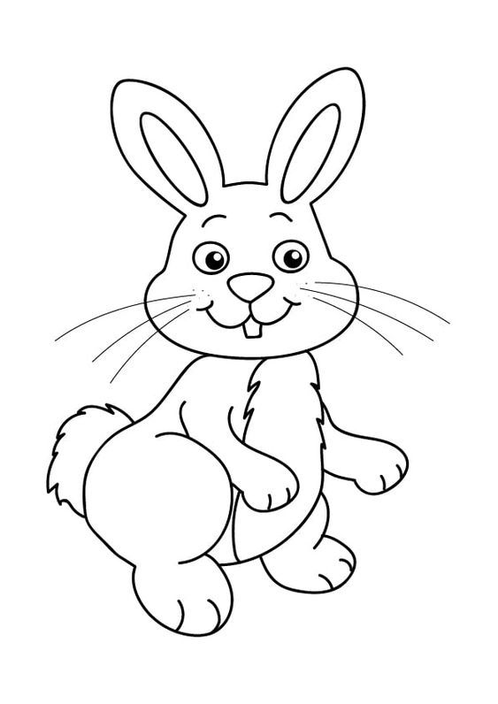 Kumpulan Gambar Mewarnai Kelinci Terbagus dan Terlengkap 8 Gambar Mewarnai Kelinci