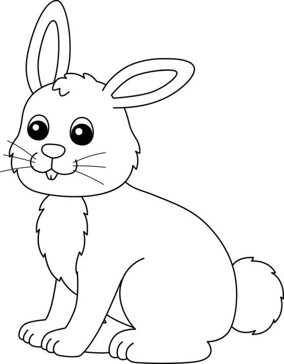 Kumpulan Gambar Mewarnai Kelinci Terbagus dan Terlengkap 6 Gambar Mewarnai Kelinci