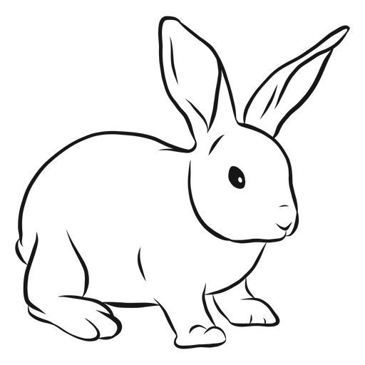 Kumpulan Gambar Mewarnai Kelinci Terbagus dan Terlengkap 3 Gambar Mewarnai Kelinci