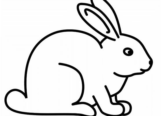 Kumpulan Gambar Mewarnai Kelinci Terbagus dan Terlengkap 2 Gambar Mewarnai Kelinci