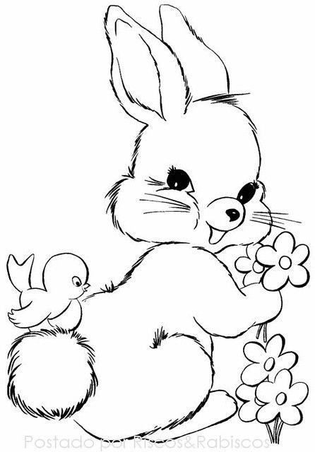Kumpulan Gambar Mewarnai Kelinci Terbagus dan Terlengkap 20 Gambar Mewarnai Kelinci