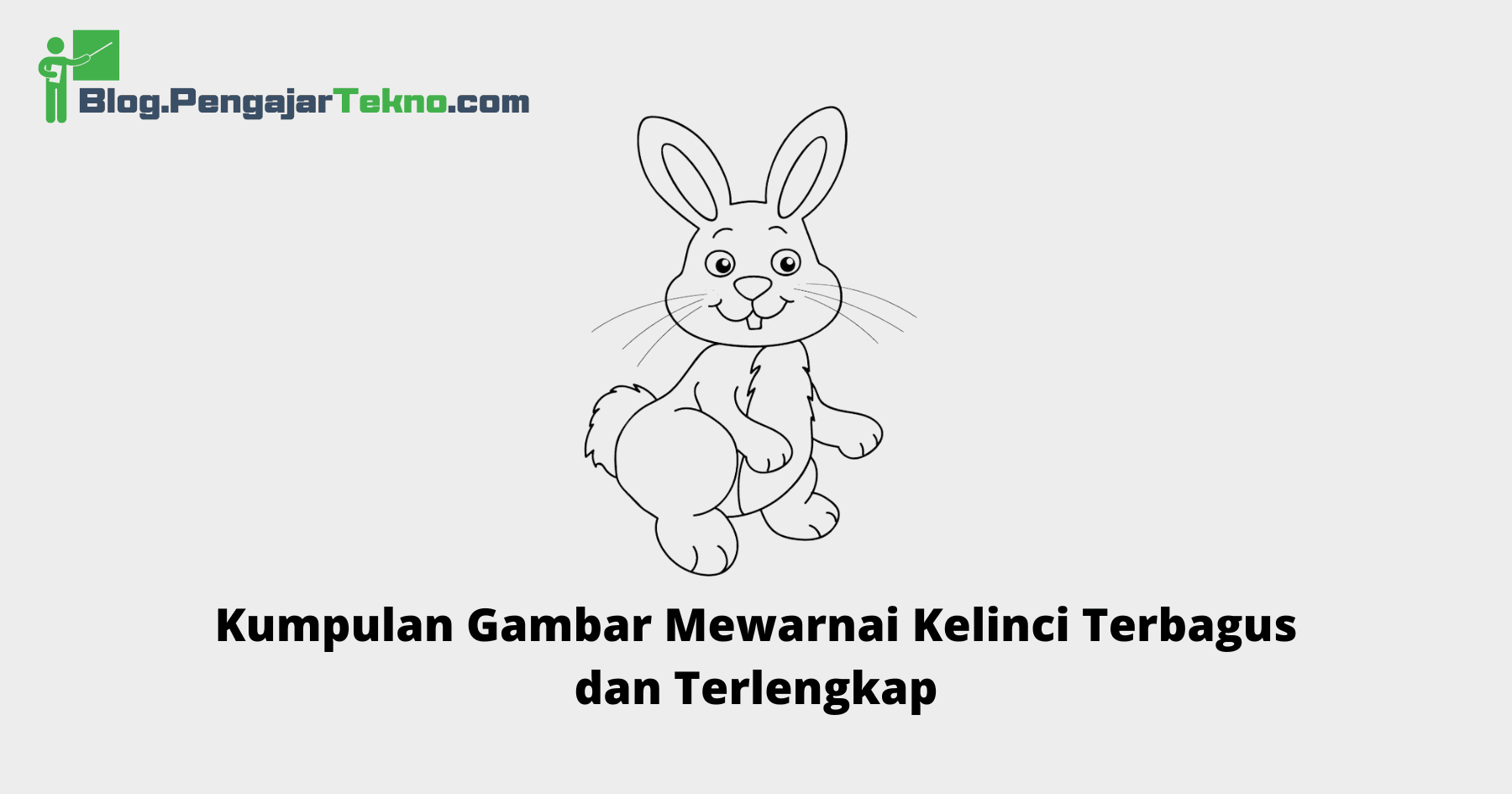 Kumpulan Gambar Mewarnai Kelinci Terbagus dan Terlengkap 1 Gambar Mewarnai Kelinci