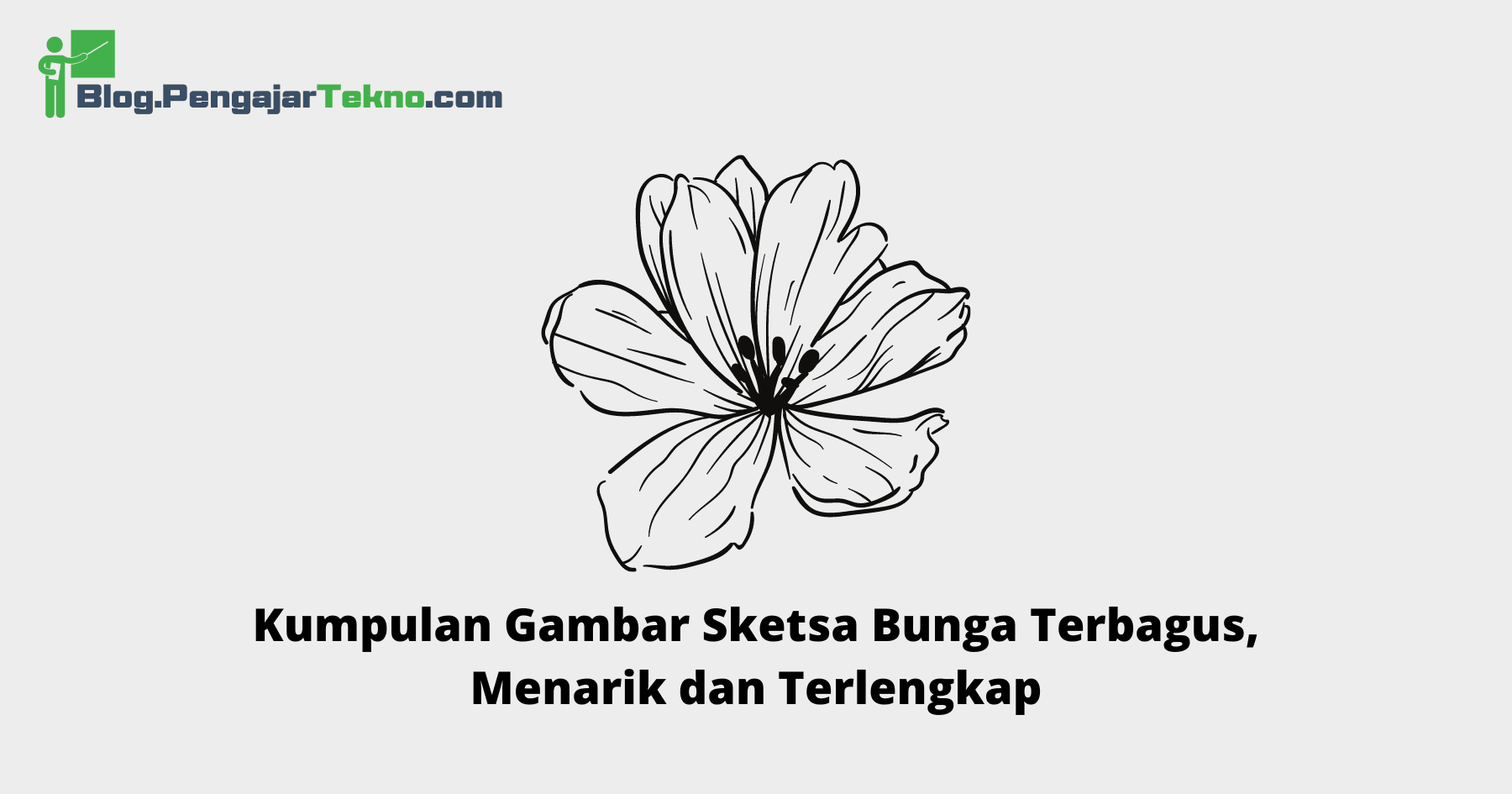 Gambar Sketsa Bunga