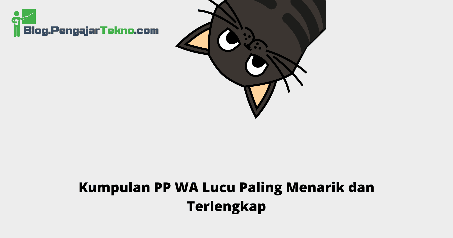 PP WA Lucu