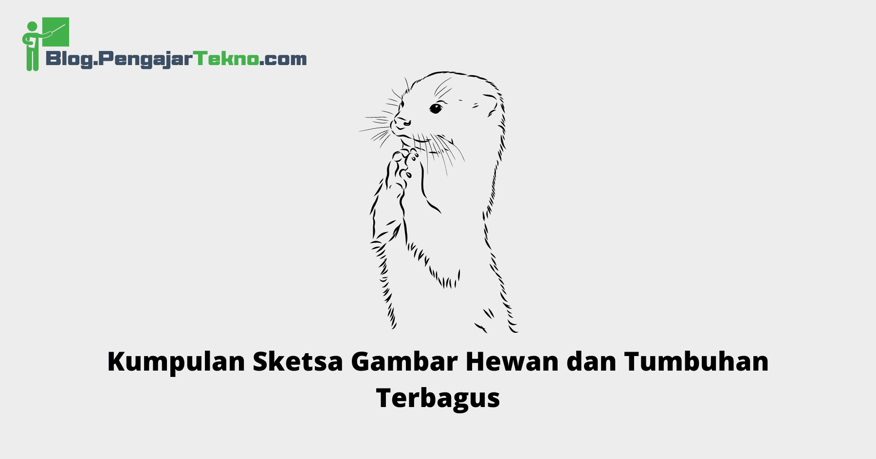 Sketsa Gambar Hewan dan Tumbuhan