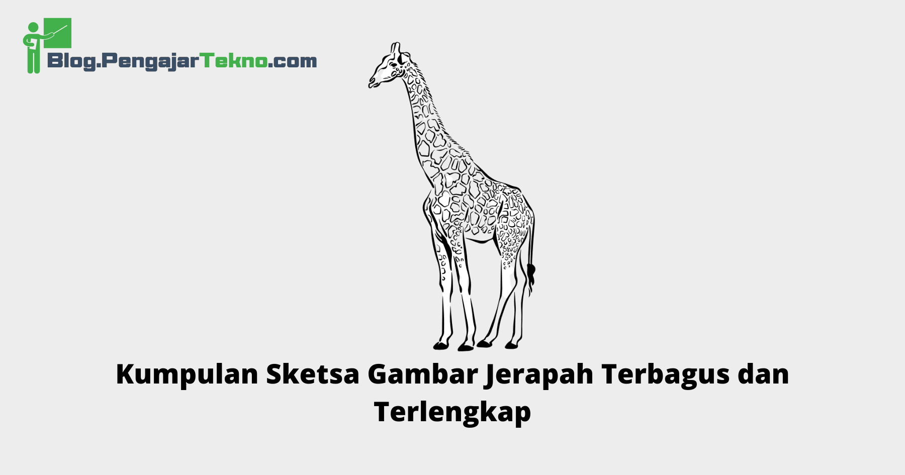 Sketsa Gambar Jerapah