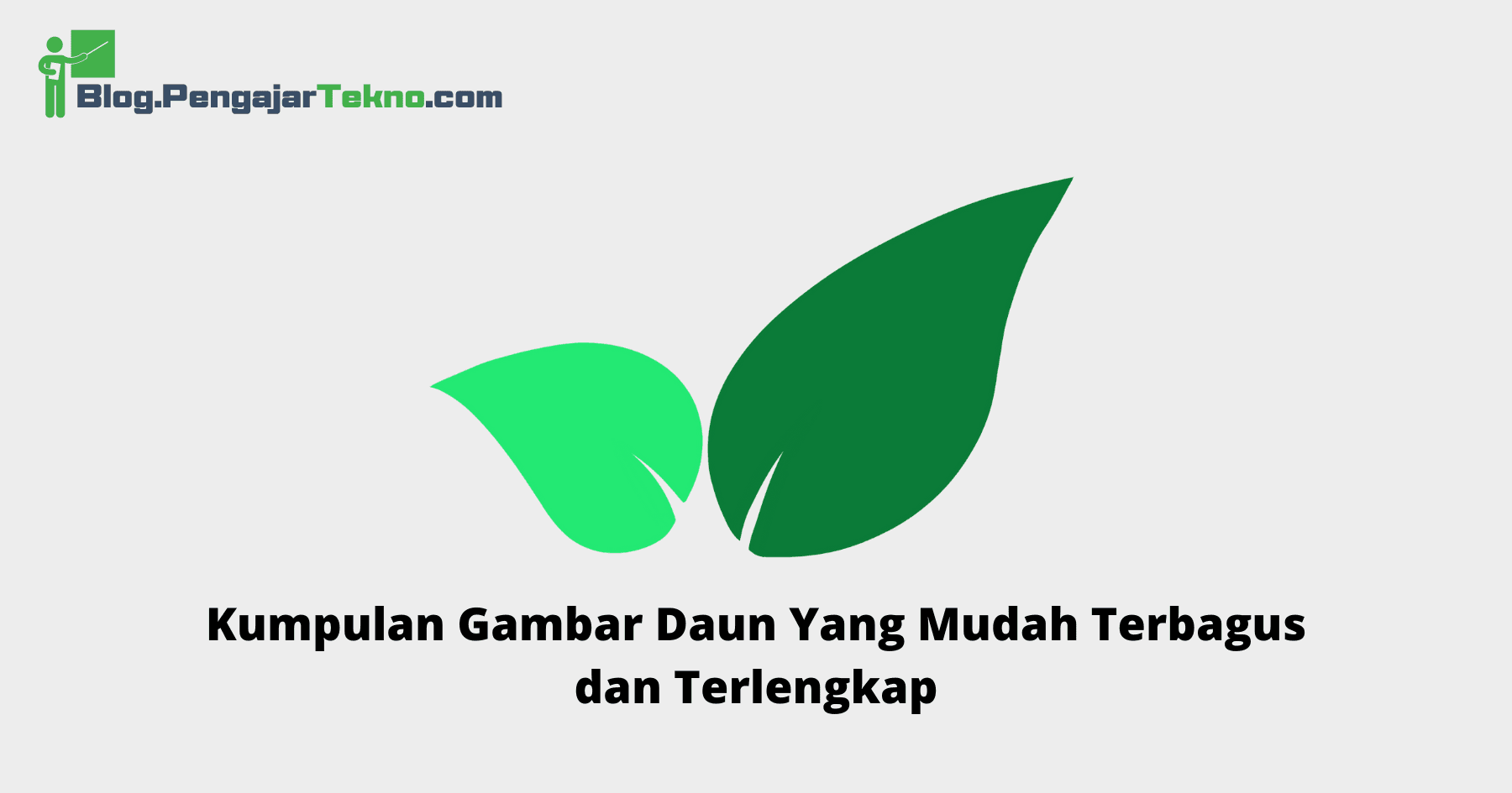 Gambar Daun Yang Mudah