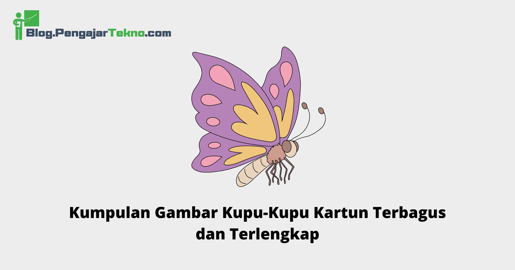 Gambar Kupu-Kupu Kartun