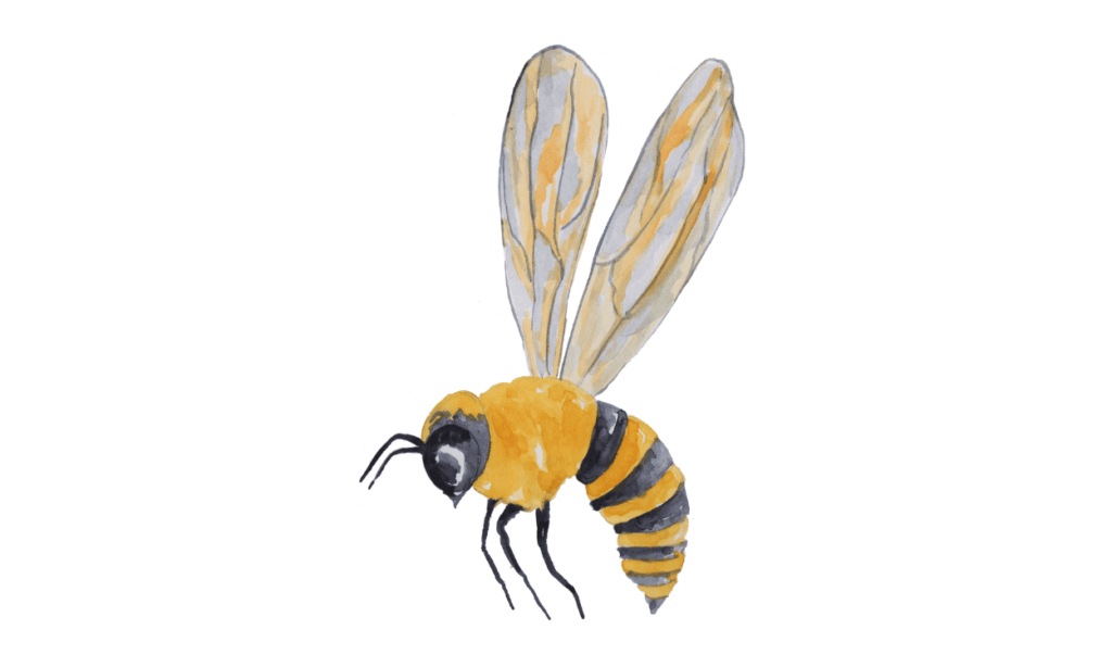 Kumpulan Gambar Lebah Kartun Terbagus dan Terlengkap 9 Gambar Lebah Kartun