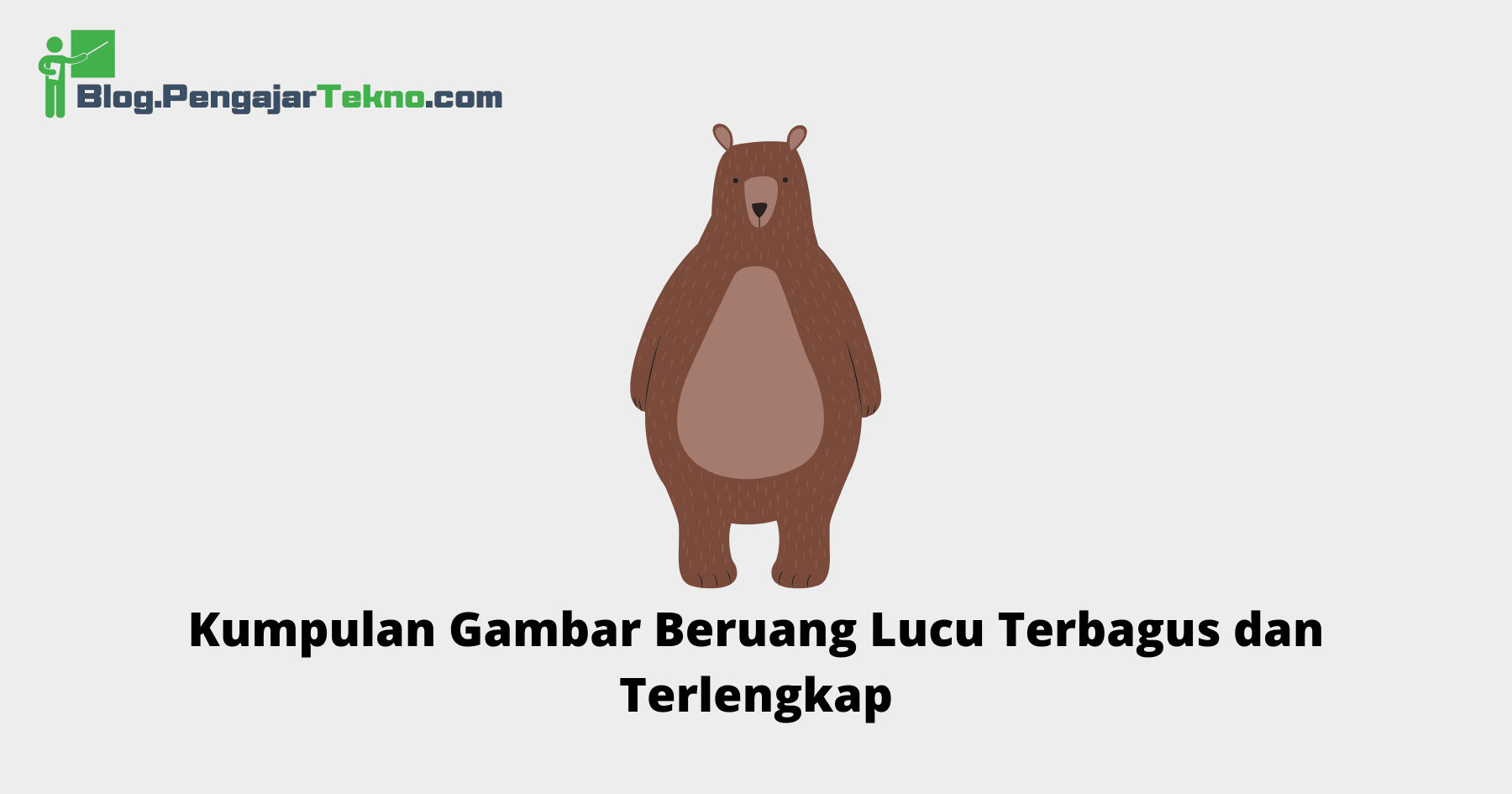 Gambar Beruang Lucu