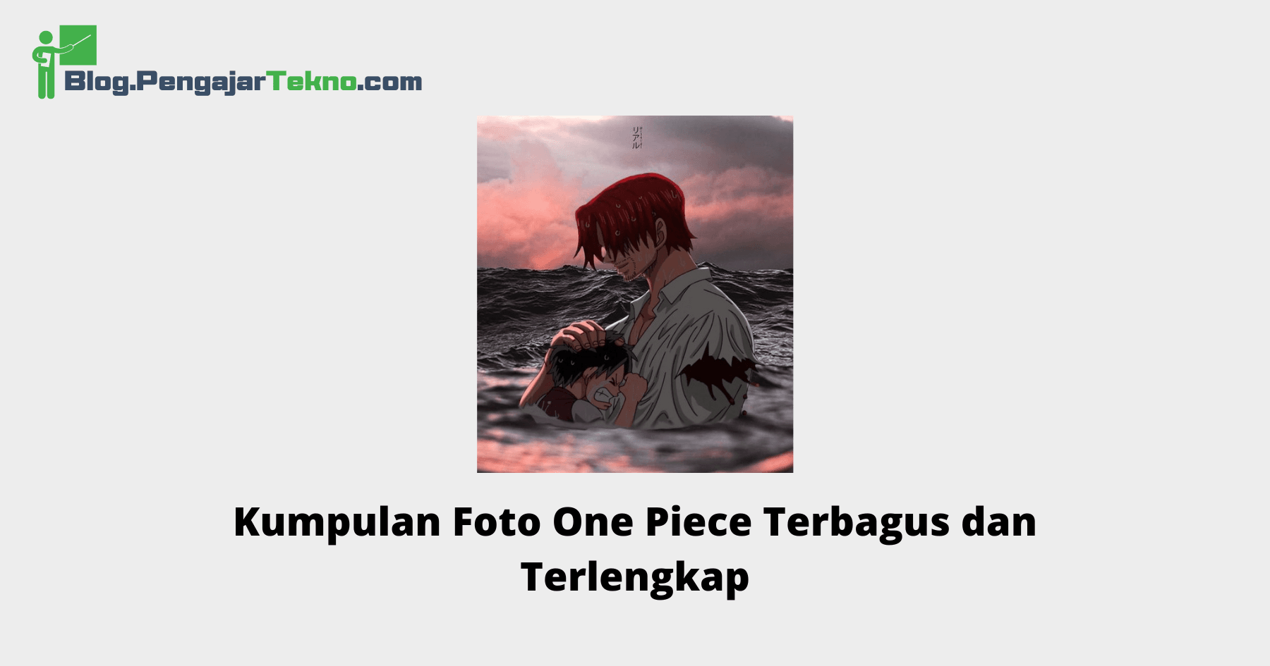 Foto One Piece
