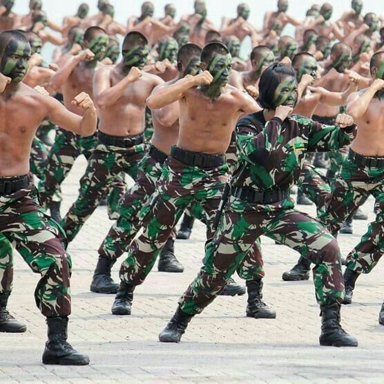 Kumpulan Foto TNI AD Keren Terbagus dan Terlengkap 20 Foto TNI AD