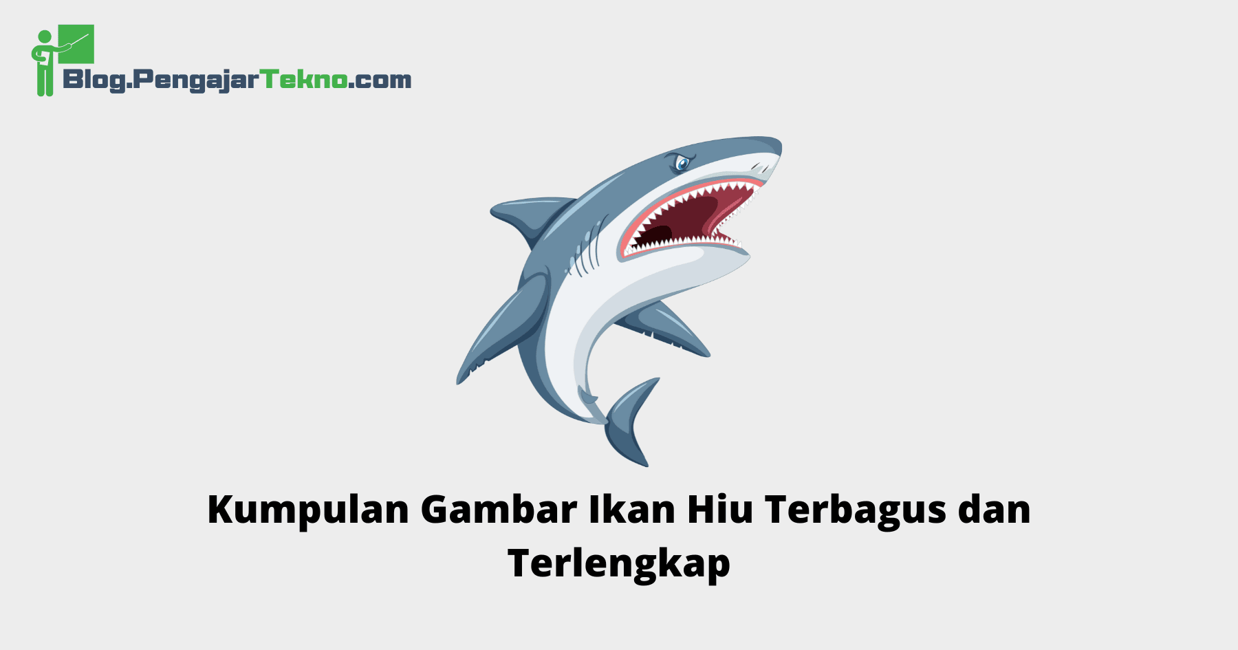 Gambar Ikan Hiu