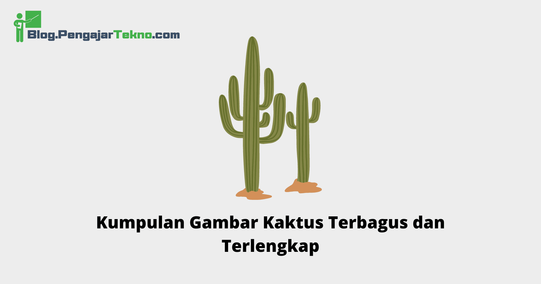 Gambar Kaktus