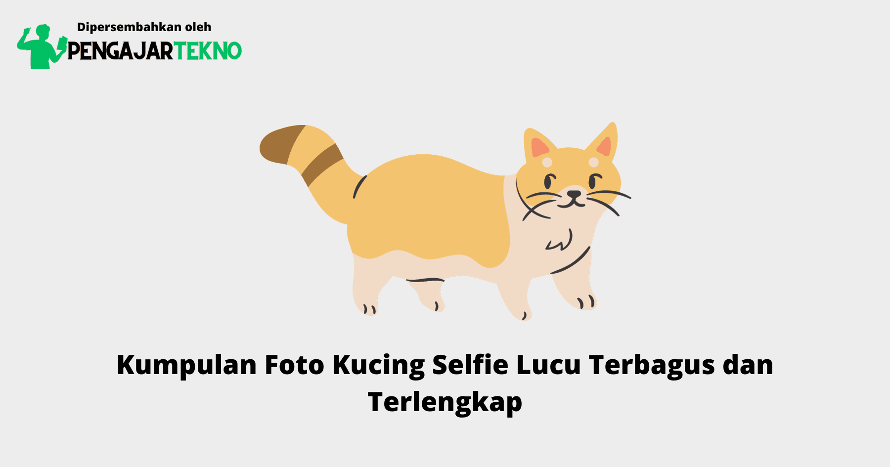 Foto Kucing Selfie