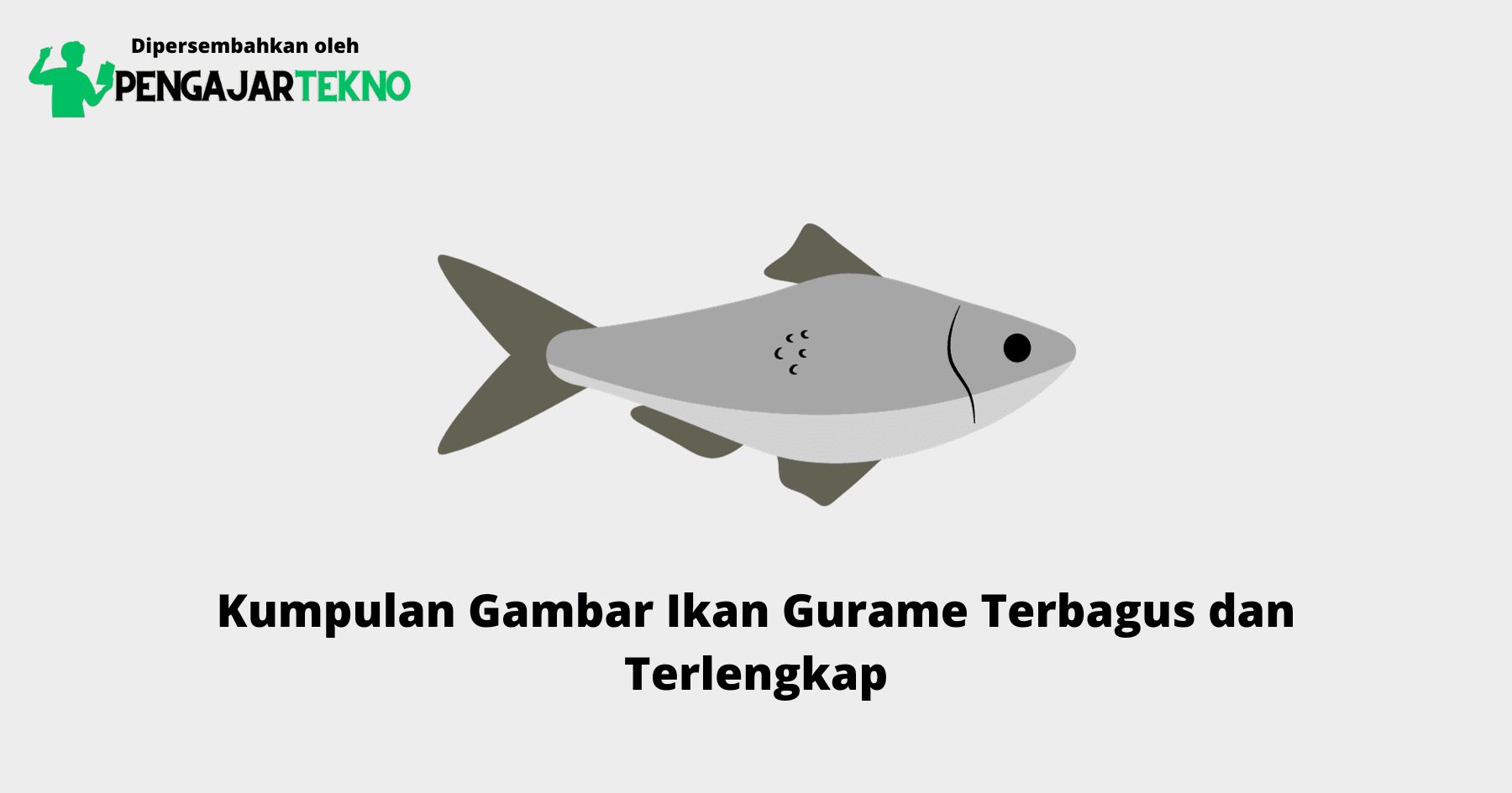 Gambar Ikan Gurame