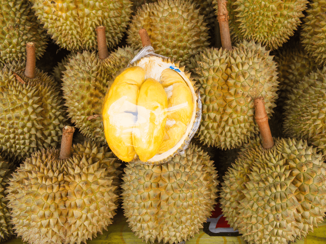 Kumpulan Foto Durian Paling Mantap Terbagus dan Terlengkap 19 Foto Durian