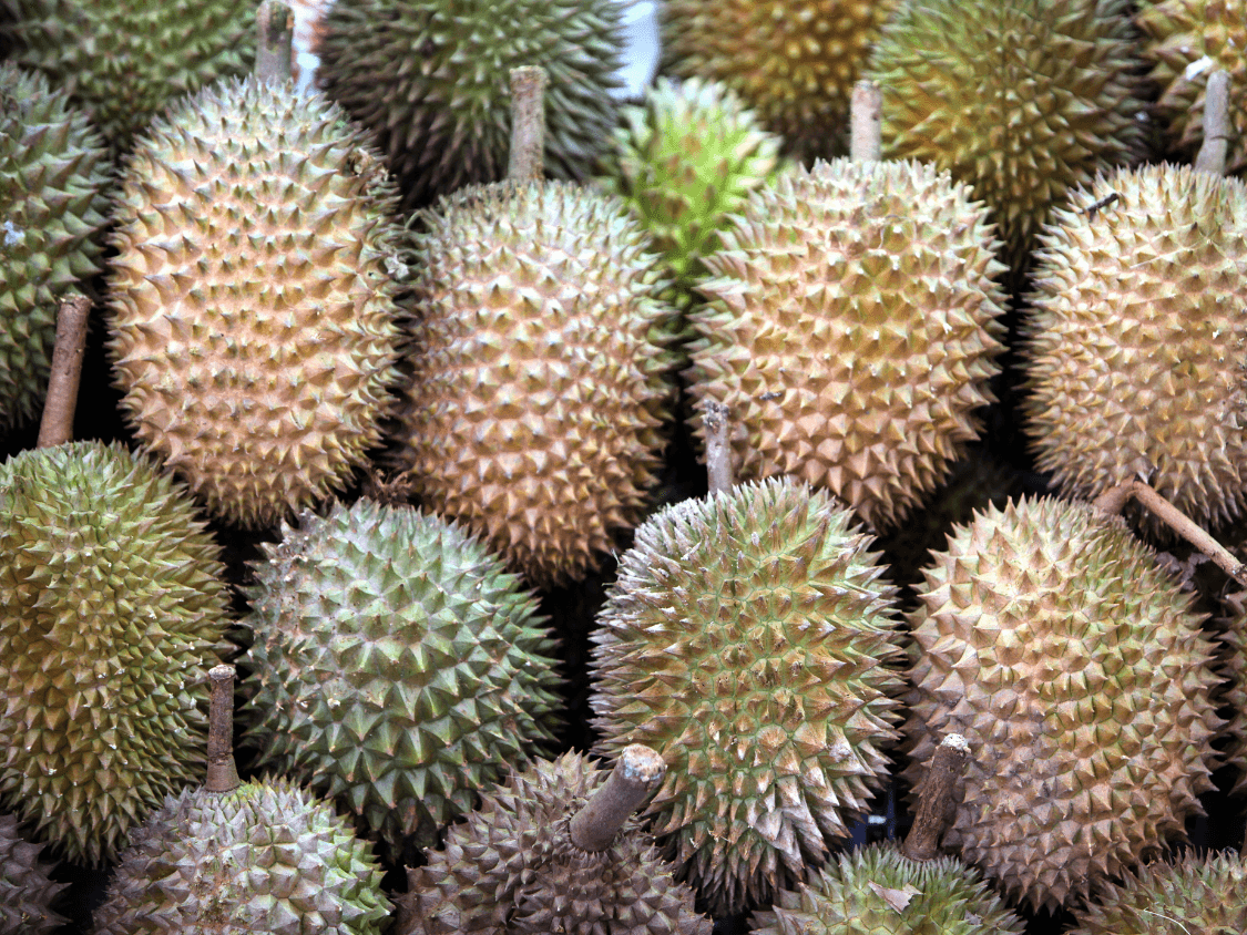 Kumpulan Foto Durian Paling Mantap Terbagus dan Terlengkap 18 Foto Durian