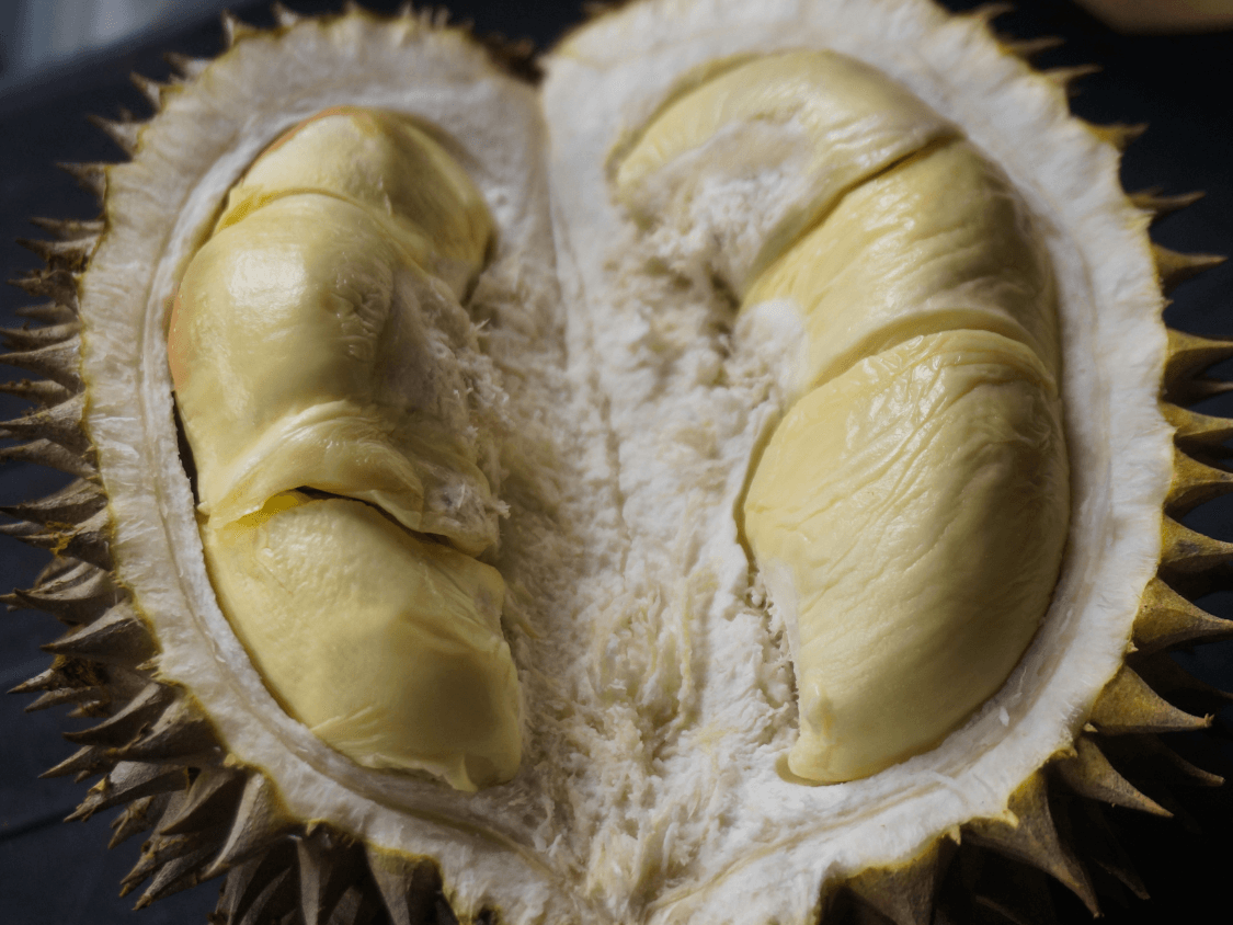 Kumpulan Foto Durian Paling Mantap Terbagus dan Terlengkap 30 Foto Durian
