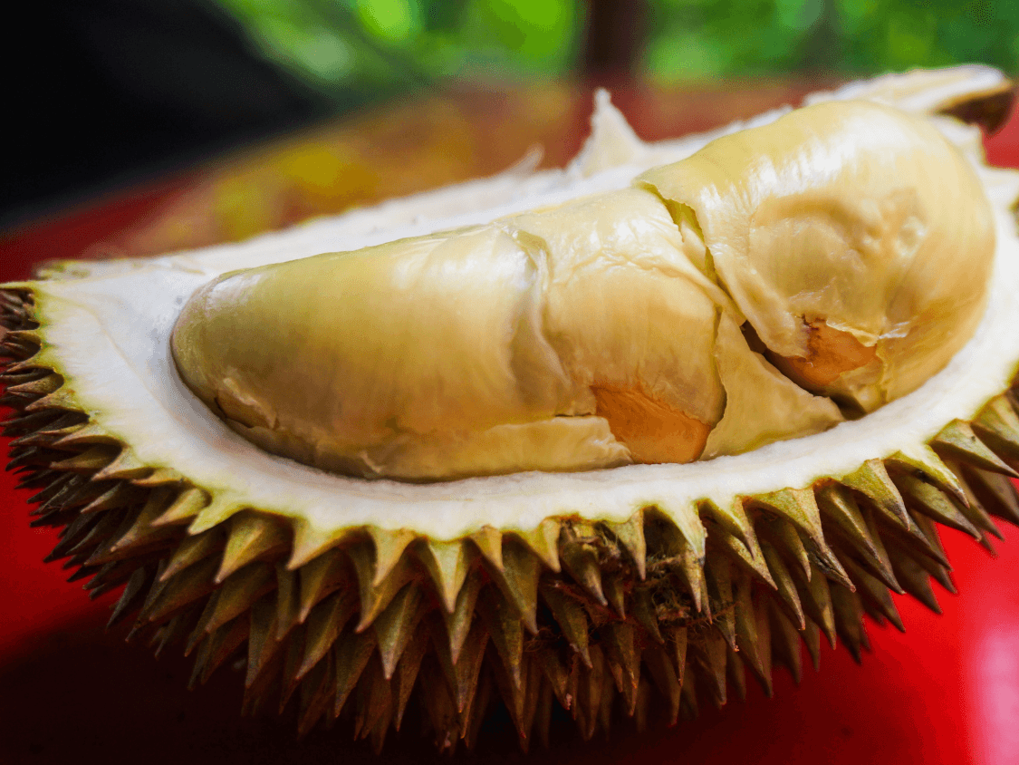 Kumpulan Foto Durian Paling Mantap Terbagus dan Terlengkap 12 Foto Durian