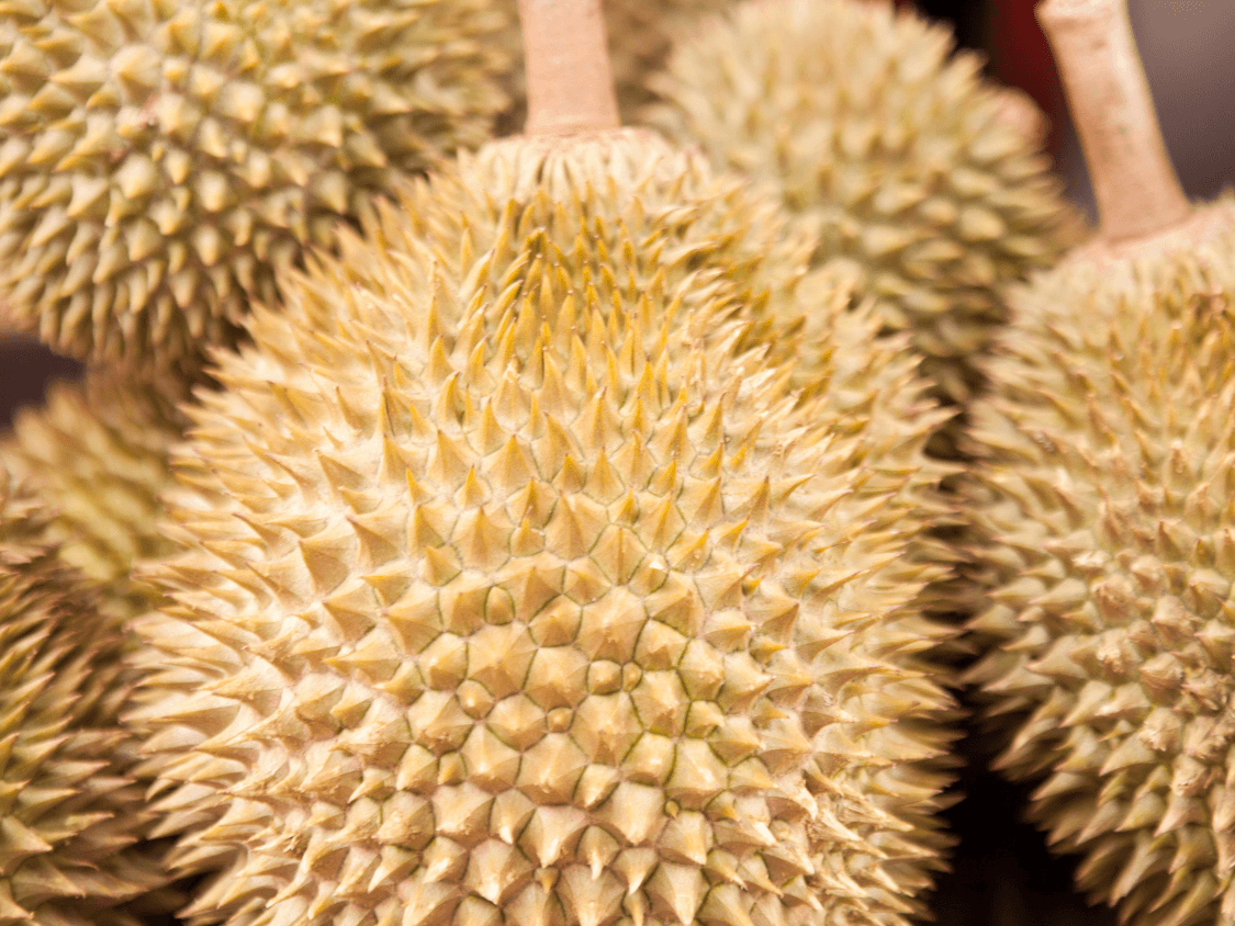 Kumpulan Foto Durian Paling Mantap Terbagus dan Terlengkap 7 Foto Durian