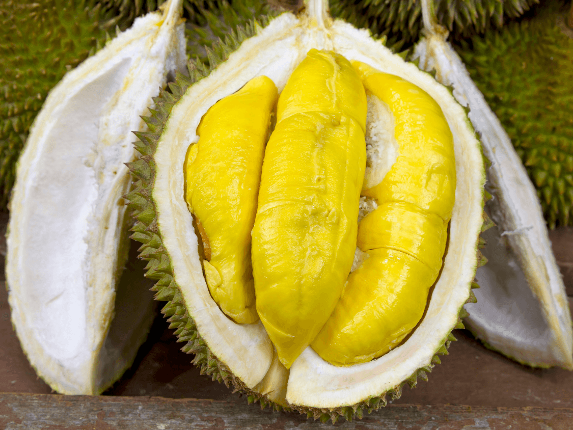 Kumpulan Foto Durian Paling Mantap Terbagus dan Terlengkap 5 Foto Durian