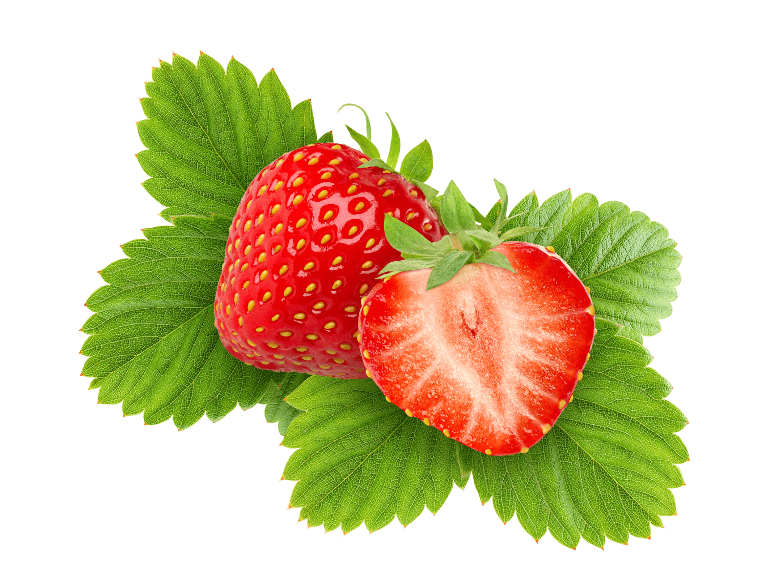 Kumpulan Gambar Strawberry Terbagus dan Terlengkap 14 Gambar Strawberry