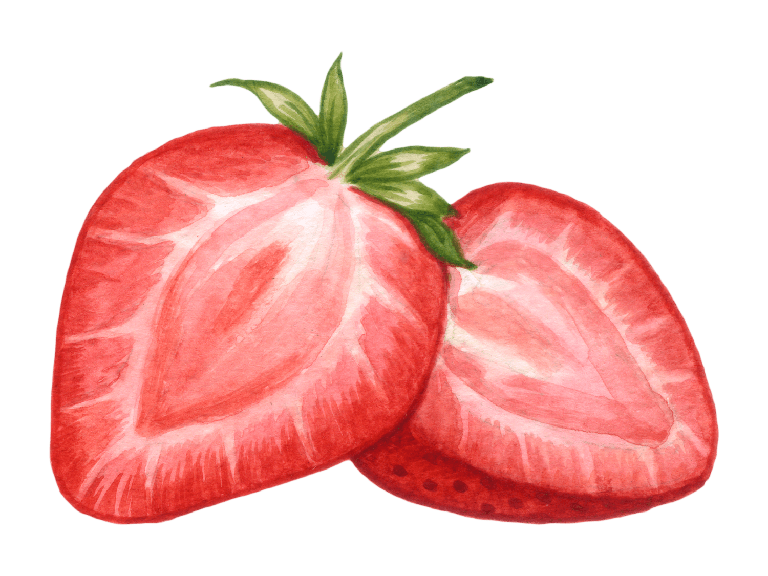 Kumpulan Gambar Strawberry Terbagus dan Terlengkap 13 Gambar Strawberry