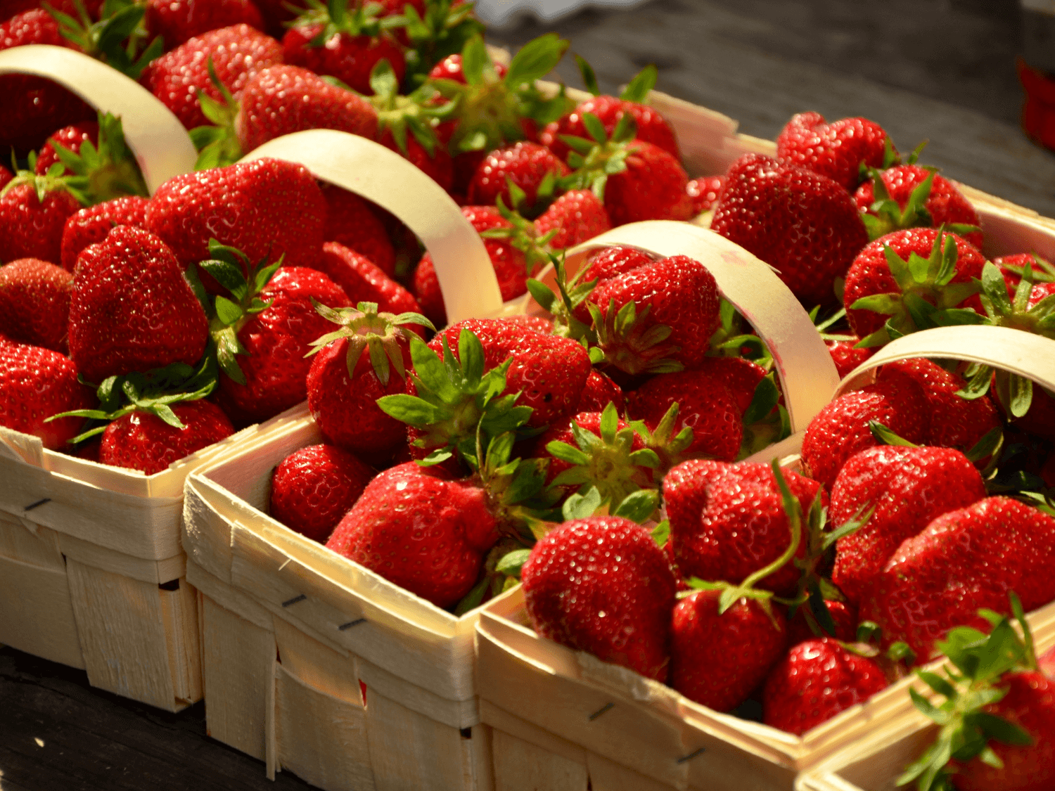 Kumpulan Gambar Strawberry Terbagus dan Terlengkap 11 Gambar Strawberry