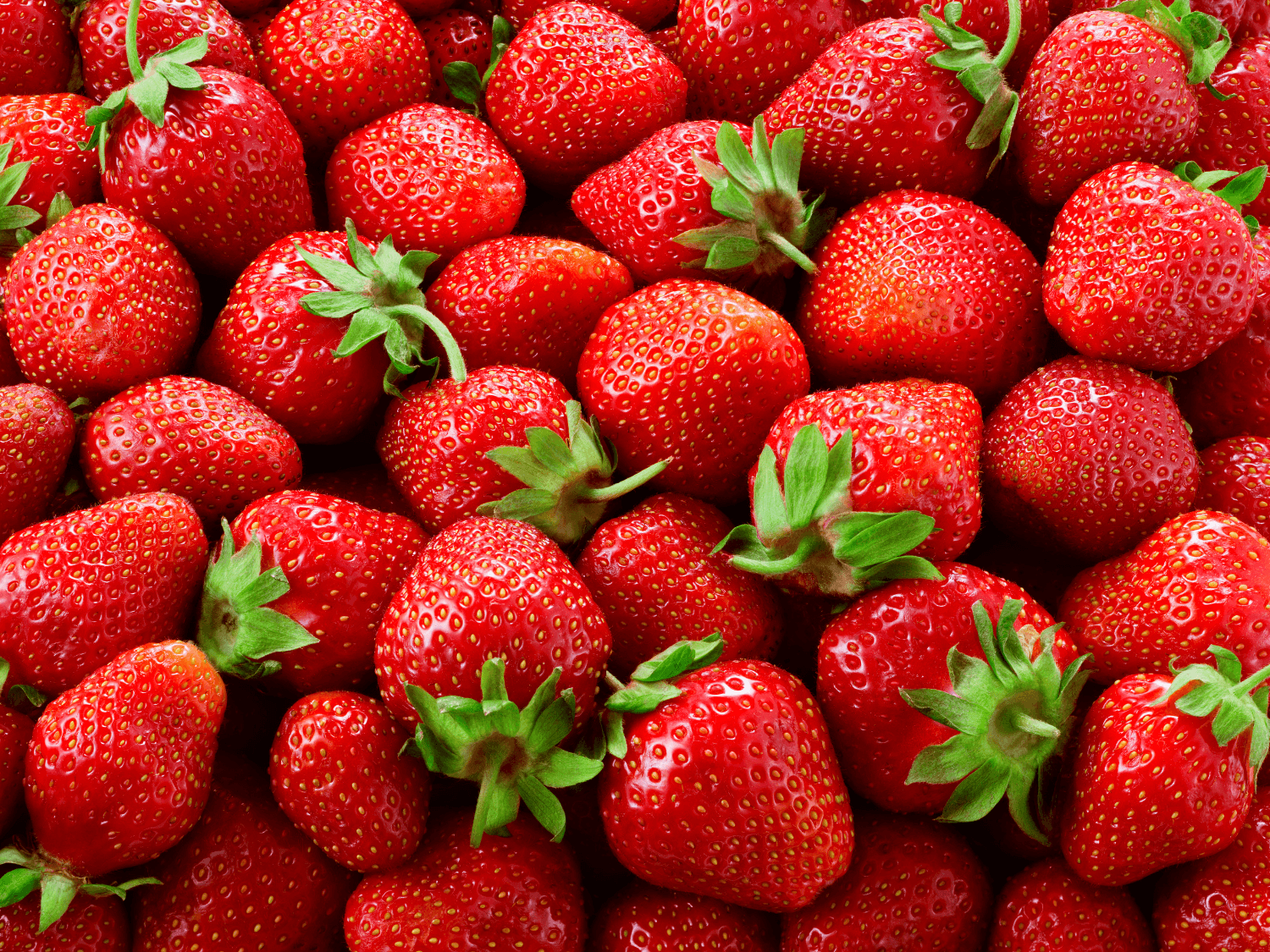 Kumpulan Gambar Strawberry Terbagus dan Terlengkap 5 Gambar Strawberry
