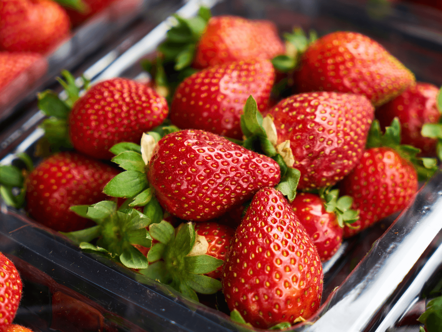 Kumpulan Gambar Strawberry Terbagus dan Terlengkap 4 Gambar Strawberry
