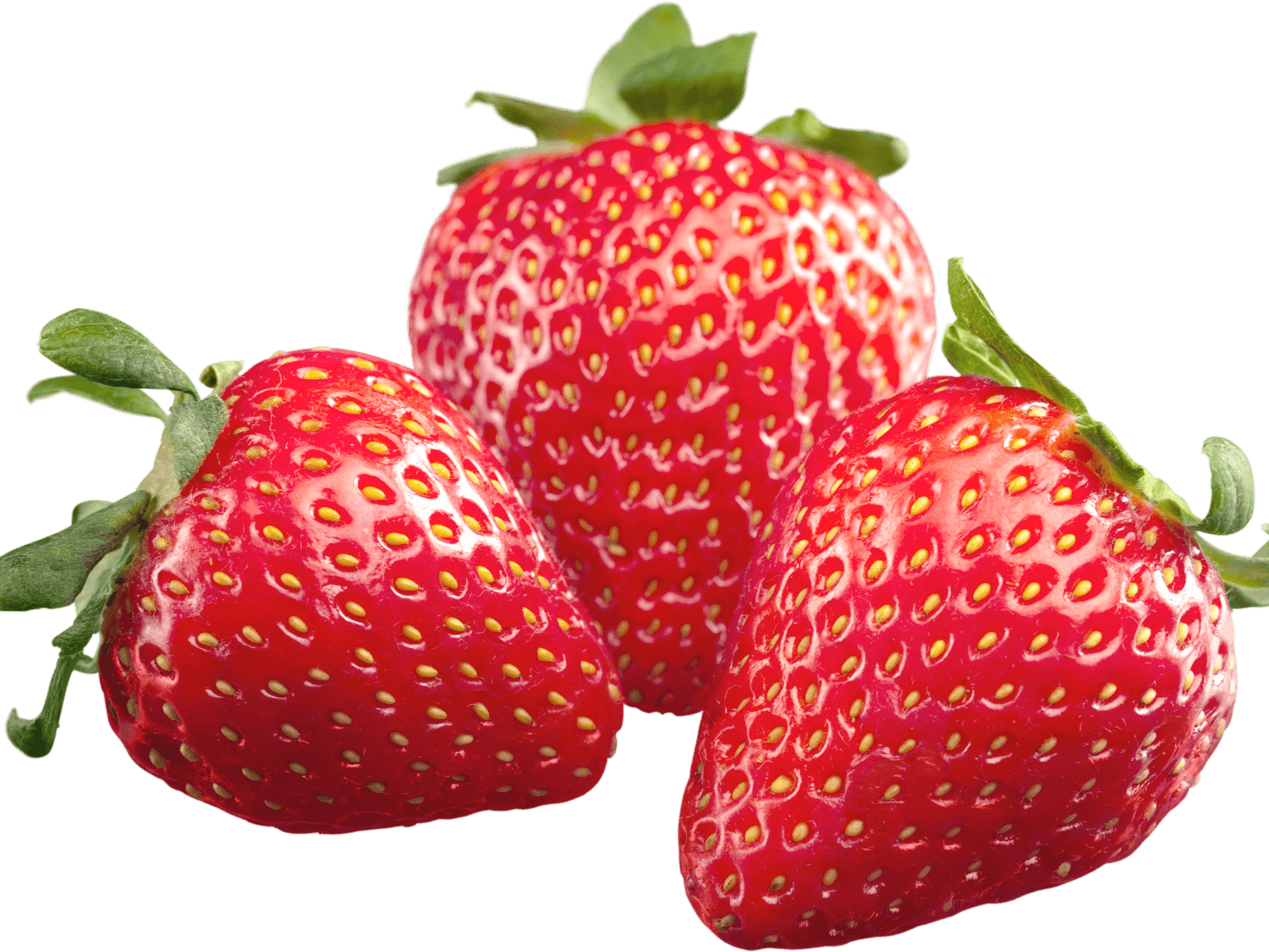 Kumpulan Gambar Strawberry Terbagus dan Terlengkap 3 Gambar Strawberry