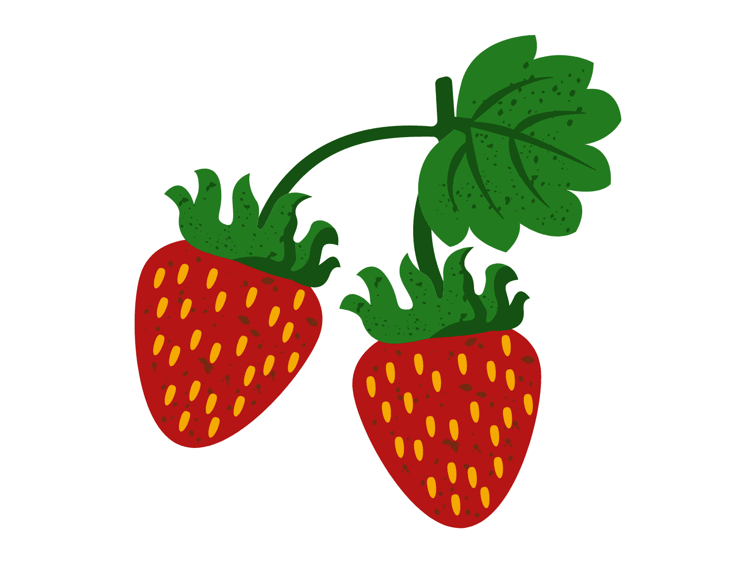 Kumpulan Gambar Strawberry Terbagus dan Terlengkap 26 Gambar Strawberry