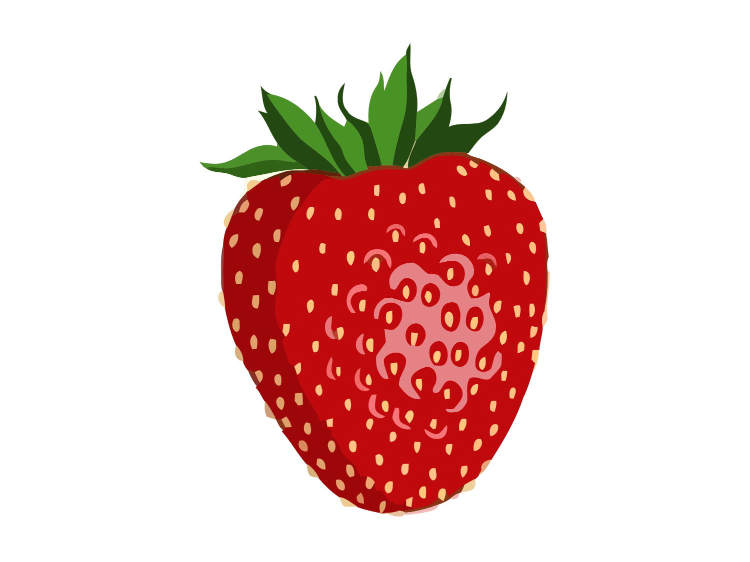 Kumpulan Gambar Strawberry Terbagus dan Terlengkap 25 Gambar Strawberry