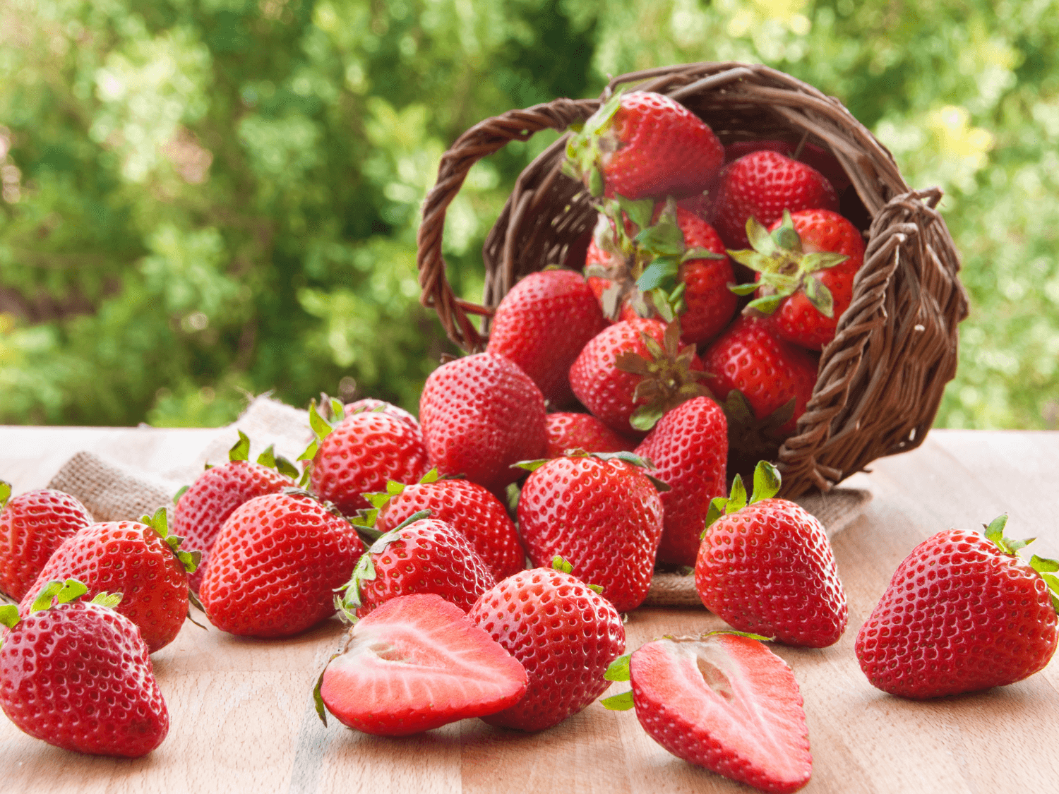 Kumpulan Gambar Strawberry Terbagus dan Terlengkap 24 Gambar Strawberry