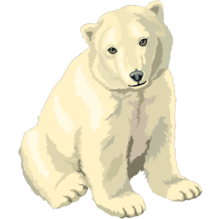 Kumpulan Gambar Beruang Kartun Paling Bagus dan Terlengkap 16 Gambar Beruang Kartun