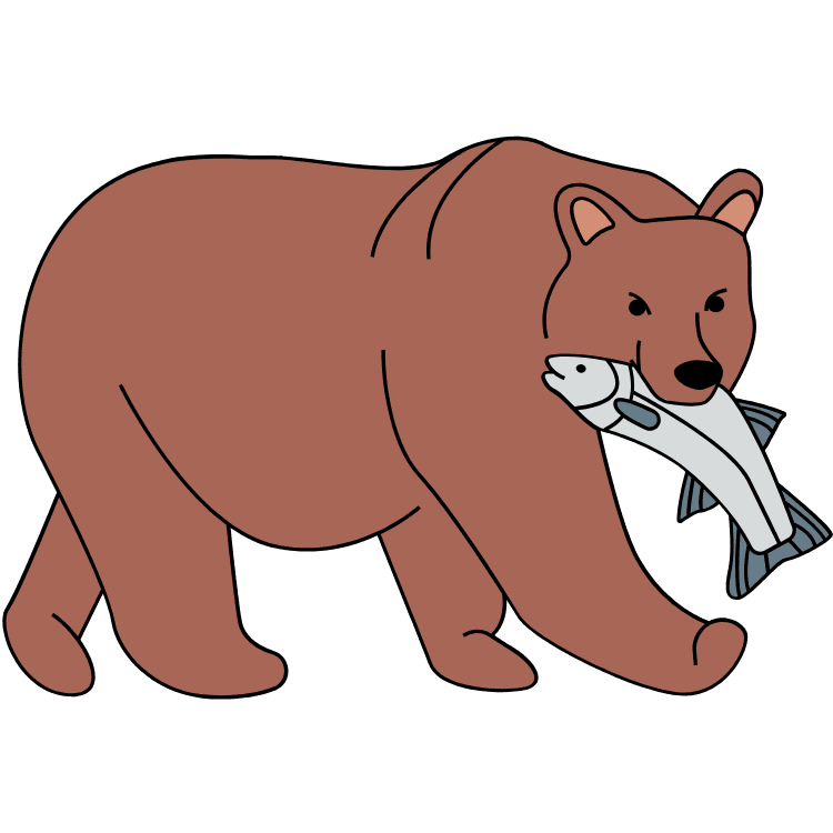 Kumpulan Gambar Beruang Kartun Paling Bagus dan Terlengkap 15 Gambar Beruang Kartun