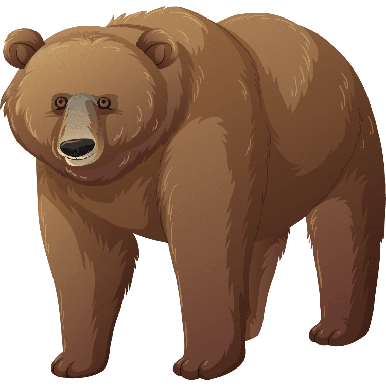 Kumpulan Gambar Beruang Kartun Paling Bagus dan Terlengkap 28 Gambar Beruang Kartun
