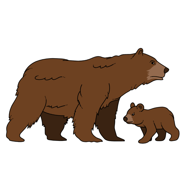 Kumpulan Gambar Beruang Kartun Paling Bagus dan Terlengkap 9 Gambar Beruang Kartun