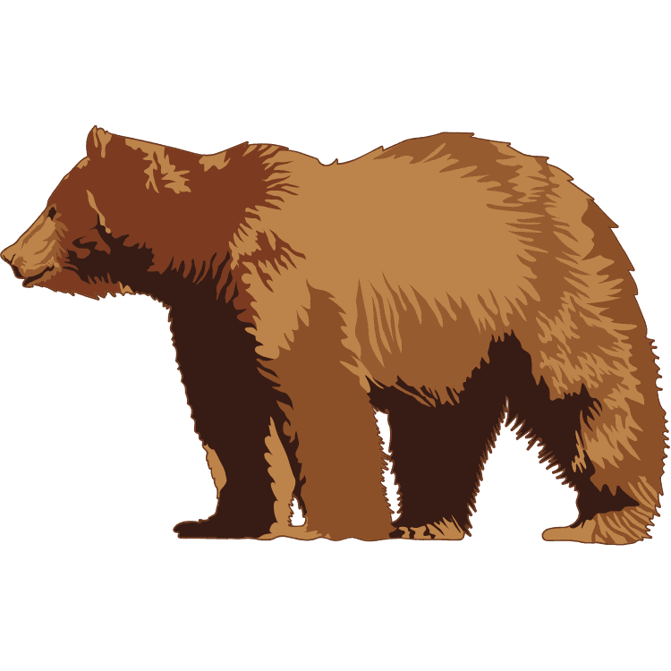 Kumpulan Gambar Beruang Kartun Paling Bagus dan Terlengkap 2 Gambar Beruang Kartun