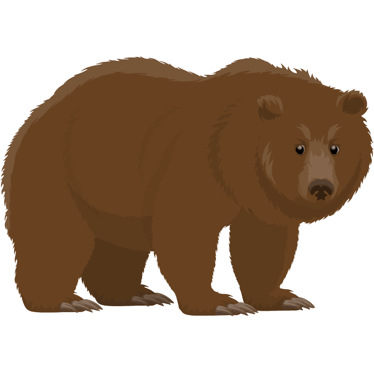 Kumpulan Gambar Beruang Kartun Paling Bagus dan Terlengkap 27 Gambar Beruang Kartun