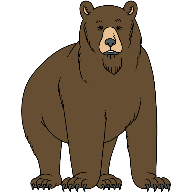 Kumpulan Gambar Beruang Kartun Paling Bagus dan Terlengkap 26 Gambar Beruang Kartun