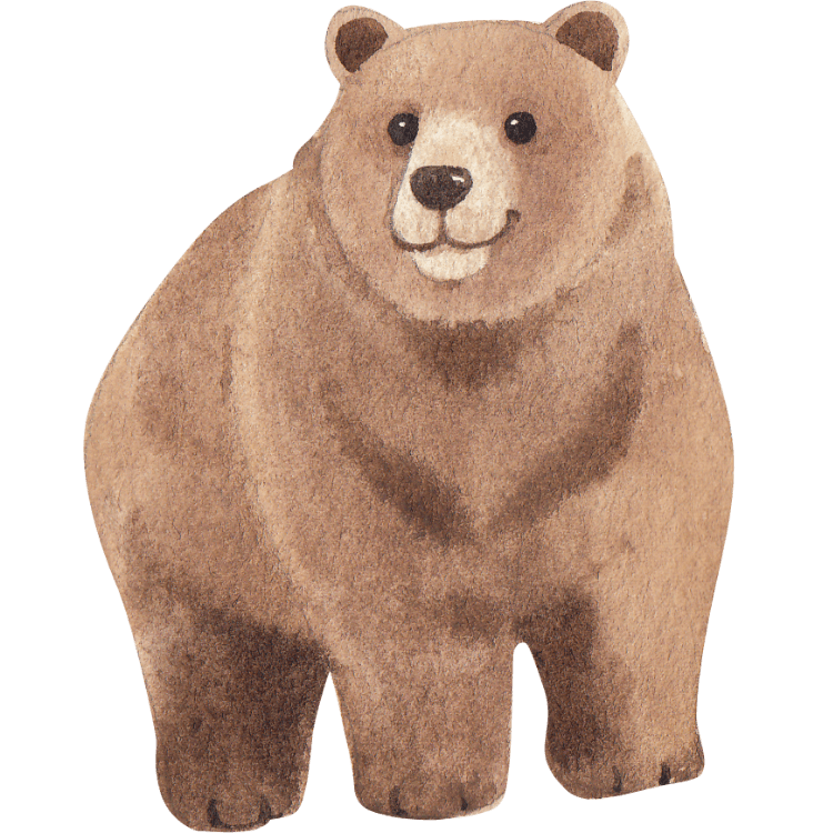 Kumpulan Gambar Beruang Kartun Paling Bagus dan Terlengkap 24 Gambar Beruang Kartun