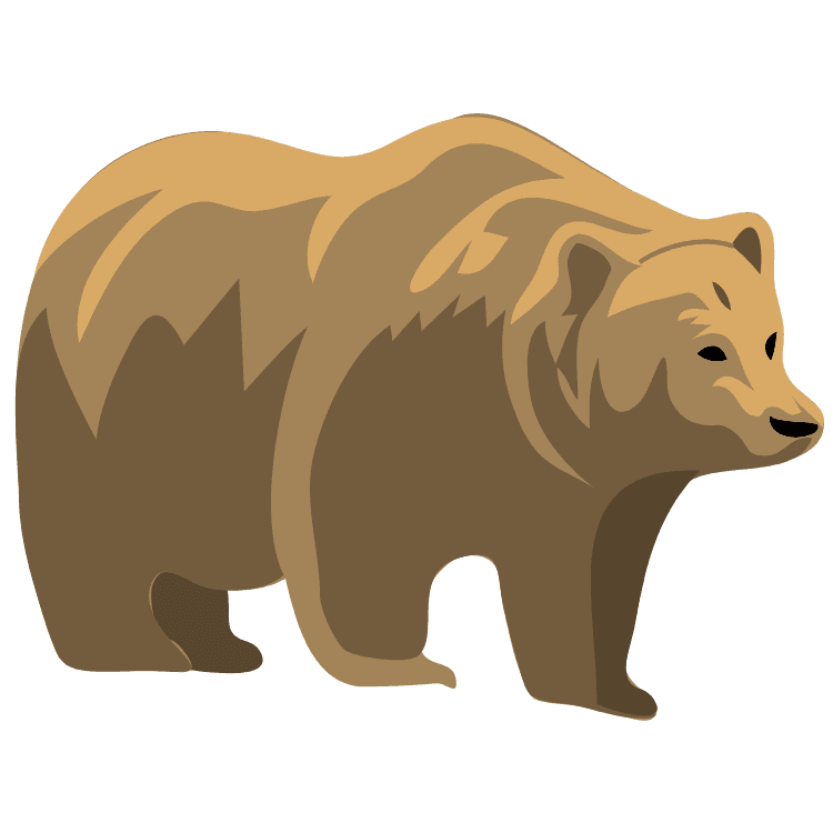 Kumpulan Gambar Beruang Kartun Paling Bagus dan Terlengkap 23 Gambar Beruang Kartun