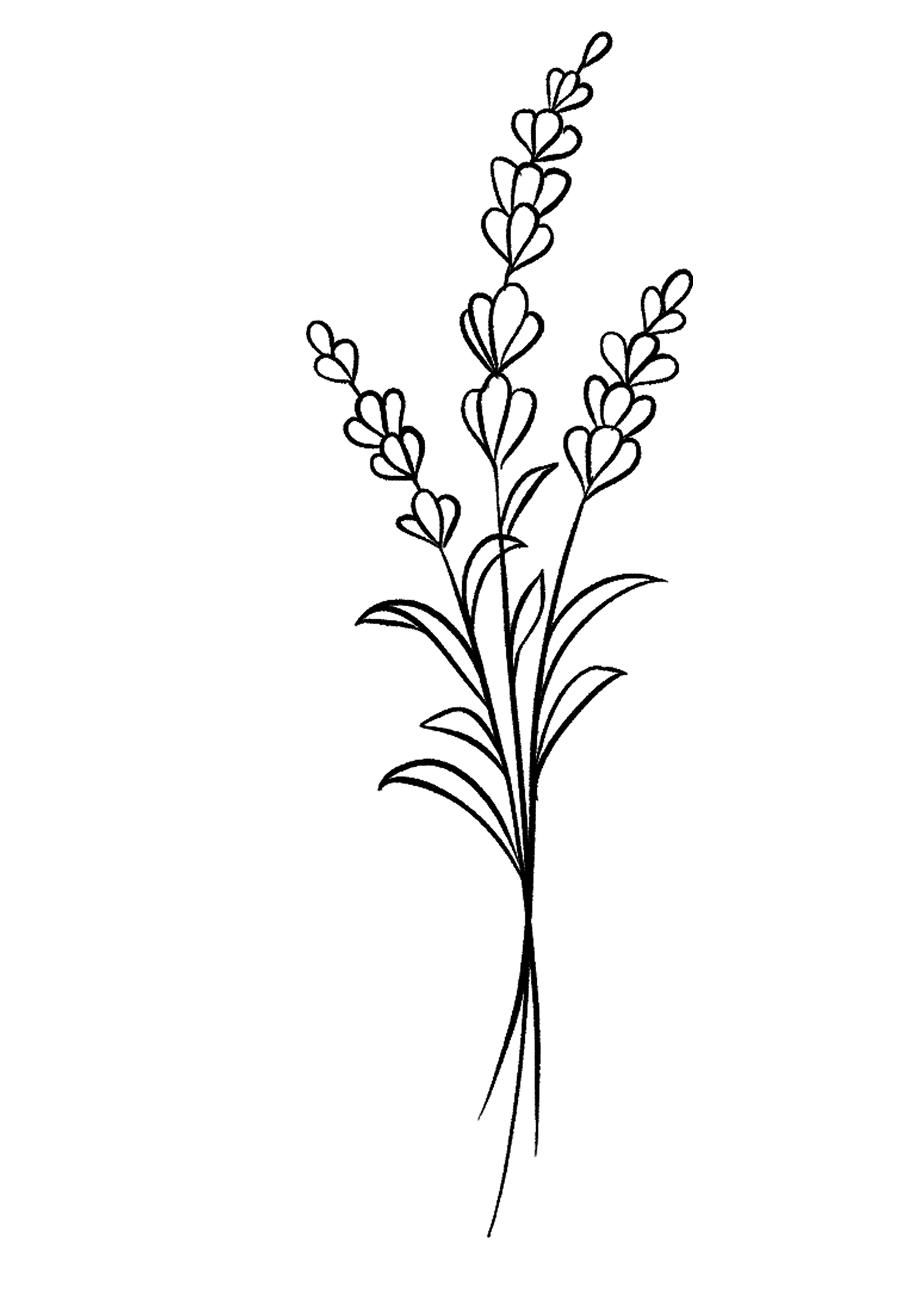 Kumpulan Gambar Bunga Yang Mudah Terbagus dan Terlengkap 23 Gambar Bunga Yang Mudah