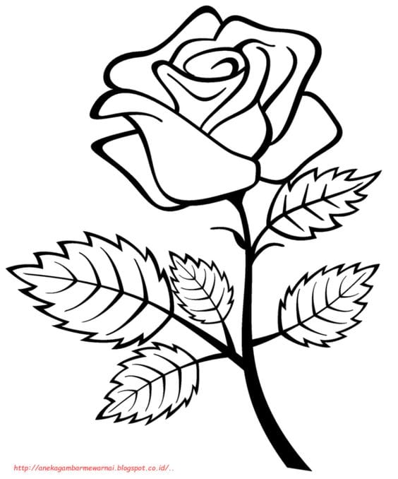 Kumpulan Gambar Bunga Yang Mudah Terbagus dan Terlengkap 10 Gambar Bunga Yang Mudah