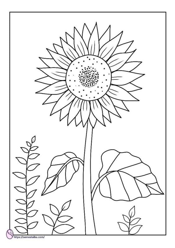 Kumpulan Gambar Bunga Yang Mudah Terbagus dan Terlengkap 8 Gambar Bunga Yang Mudah