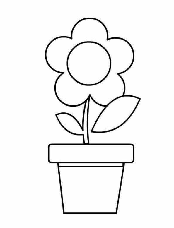 Kumpulan Gambar Bunga Yang Mudah Terbagus dan Terlengkap 5 Gambar Bunga Yang Mudah